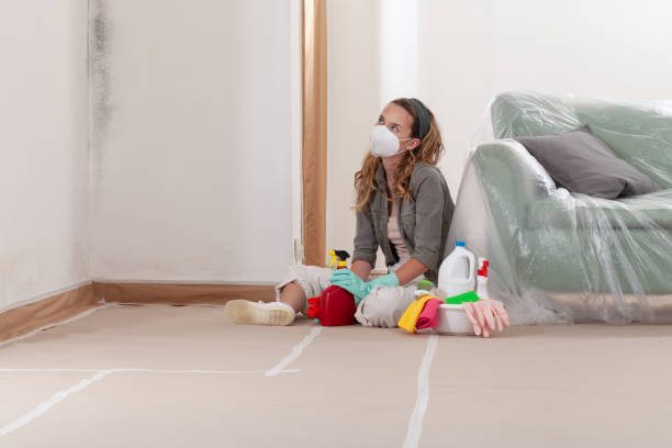 Reliable Mold Inspection contractor in Saint Joseph, MI by WQB Mold Removal